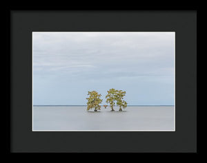 Stay Calm - Framed Print