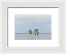 Load image into Gallery viewer, Stay Calm - Framed Print