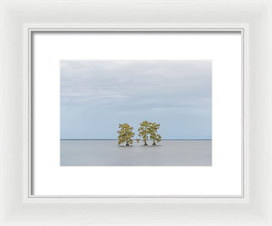 Stay Calm - Framed Print
