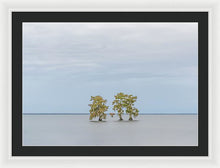 Load image into Gallery viewer, Stay Calm - Framed Print