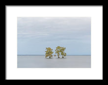 Load image into Gallery viewer, Stay Calm - Framed Print