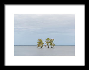 Stay Calm - Framed Print