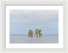 Load image into Gallery viewer, Stay Calm - Framed Print