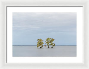 Stay Calm - Framed Print