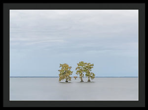 Stay Calm - Framed Print