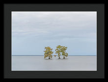 Load image into Gallery viewer, Stay Calm - Framed Print