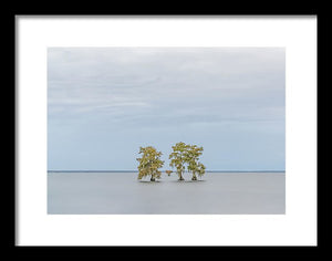 Stay Calm - Framed Print