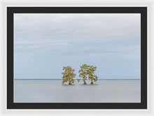 Load image into Gallery viewer, Stay Calm - Framed Print
