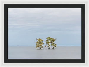 Stay Calm - Framed Print