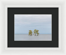 Load image into Gallery viewer, Stay Calm - Framed Print