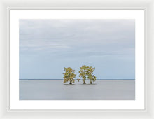 Load image into Gallery viewer, Stay Calm - Framed Print