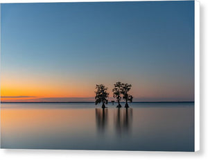 Stay Still - Canvas Print