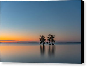 Stay Still - Canvas Print