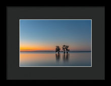 Load image into Gallery viewer, Stay Still - Framed Print