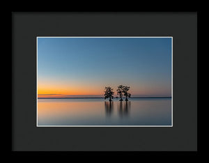 Stay Still - Framed Print