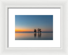 Load image into Gallery viewer, Stay Still - Framed Print