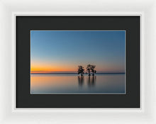 Load image into Gallery viewer, Stay Still - Framed Print