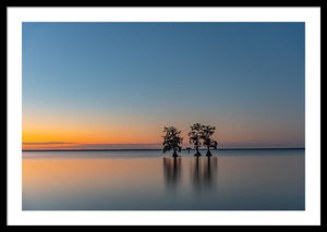 Stay Still - Framed Print