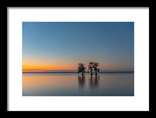 Load image into Gallery viewer, Stay Still - Framed Print