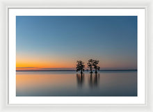 Load image into Gallery viewer, Stay Still - Framed Print