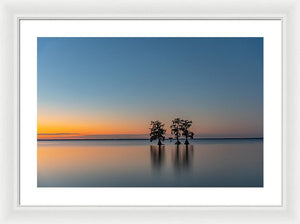 Stay Still - Framed Print