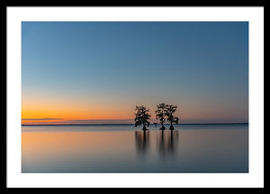 Stay Still - Framed Print