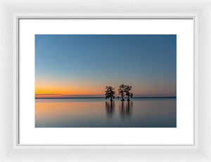 Stay Still - Framed Print