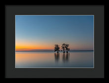 Load image into Gallery viewer, Stay Still - Framed Print