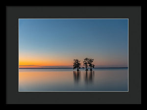 Stay Still - Framed Print