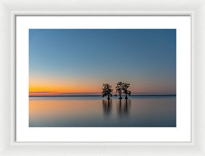 Stay Still - Framed Print