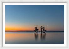 Load image into Gallery viewer, Stay Still - Framed Print