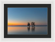 Load image into Gallery viewer, Stay Still - Framed Print