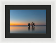 Load image into Gallery viewer, Stay Still - Framed Print