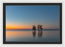 Load image into Gallery viewer, Stay Still - Framed Print