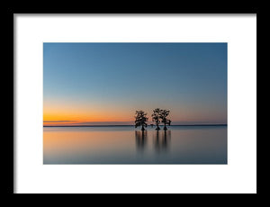 Stay Still - Framed Print