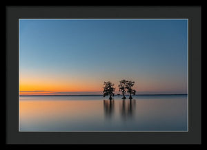 Stay Still - Framed Print