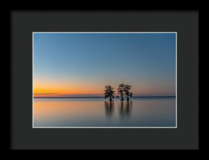 Stay Still - Framed Print