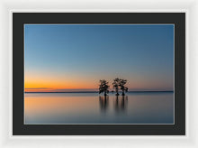 Load image into Gallery viewer, Stay Still - Framed Print