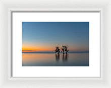 Load image into Gallery viewer, Stay Still - Framed Print