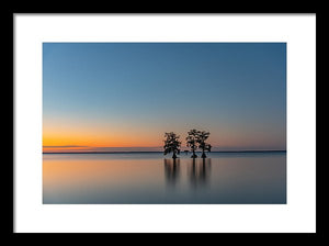 Stay Still - Framed Print