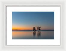 Load image into Gallery viewer, Stay Still - Framed Print