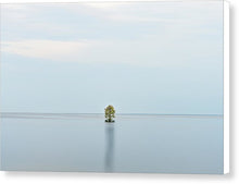 Load image into Gallery viewer, Tranquility - Canvas Print