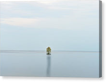 Load image into Gallery viewer, Simple Canvas Print