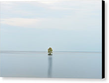 Load image into Gallery viewer, Tranquility - Canvas Print