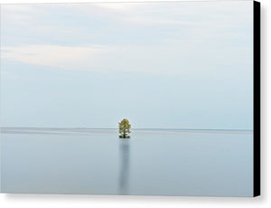 Tranquility - Canvas Print