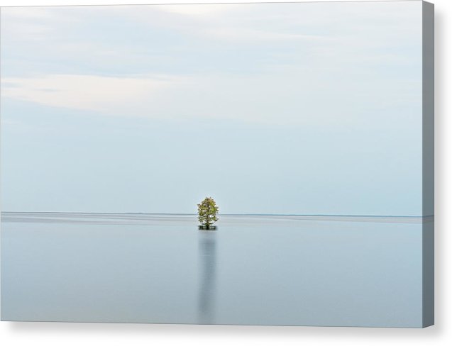 Simple Canvas Print
