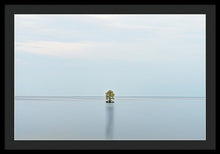 Load image into Gallery viewer, Tranquility - Framed Print