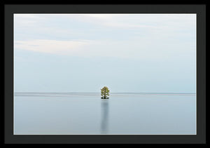 Tranquility - Framed Print