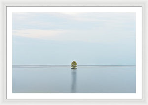 Tranquility - Framed Print