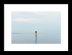 Tranquility - Framed Print